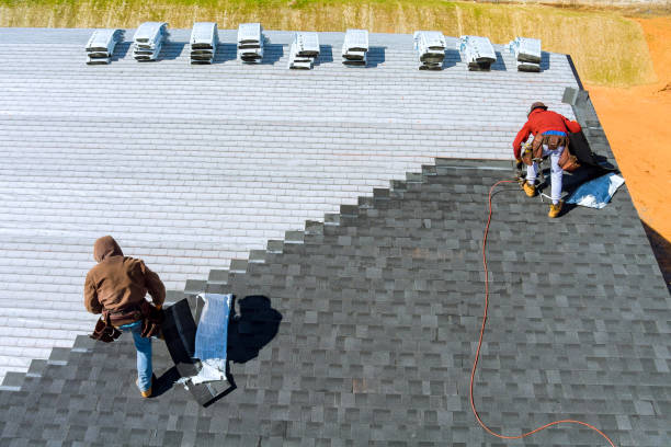 Best Metal Roofing Installation  in Munfordville, KY